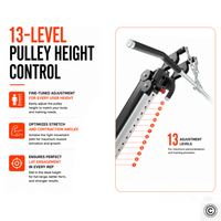 Thumbnail for Insight Fitness Adjustable Pull down & Row - SA041