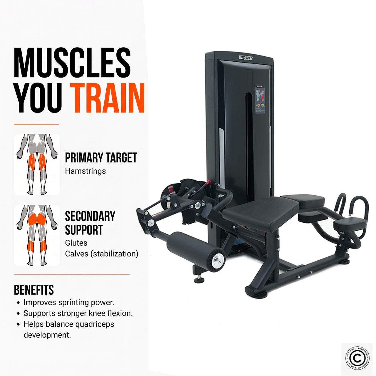 Insight Fitness SA Series Leg Curl - SA015D