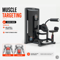Thumbnail for Insight Fitness SA Series Abdominal Back Extension - SA009D
