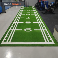 Thumbnail for Sled Track Grass with Marking - 10 x 2 Meters (Green)