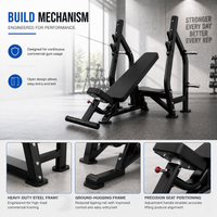 Thumbnail for Insight Fitness Incline Olympic Bench - DR005