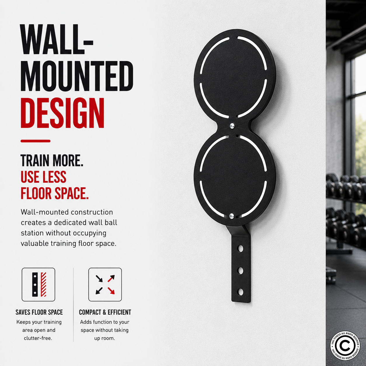 1441 Fitness Dual Wall Ball Target