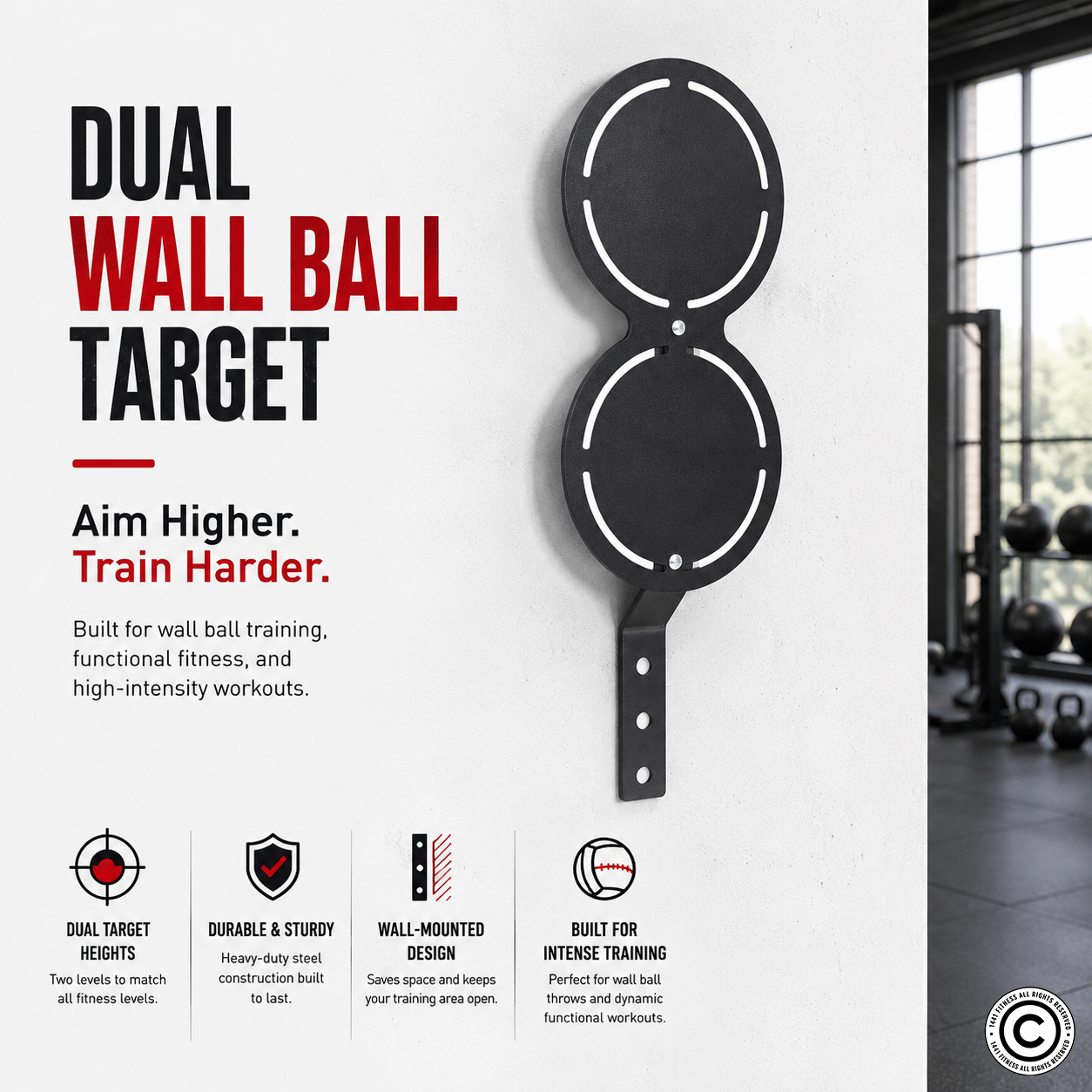 1441 Fitness Dual Wall Ball Target