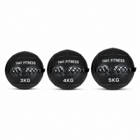 Thumbnail for 1441 Fitness Premium Wall Balls - ( 3 KG to 15 KG)