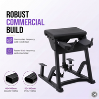 Thumbnail for Insight Fitness Reverse Hyper - PB407