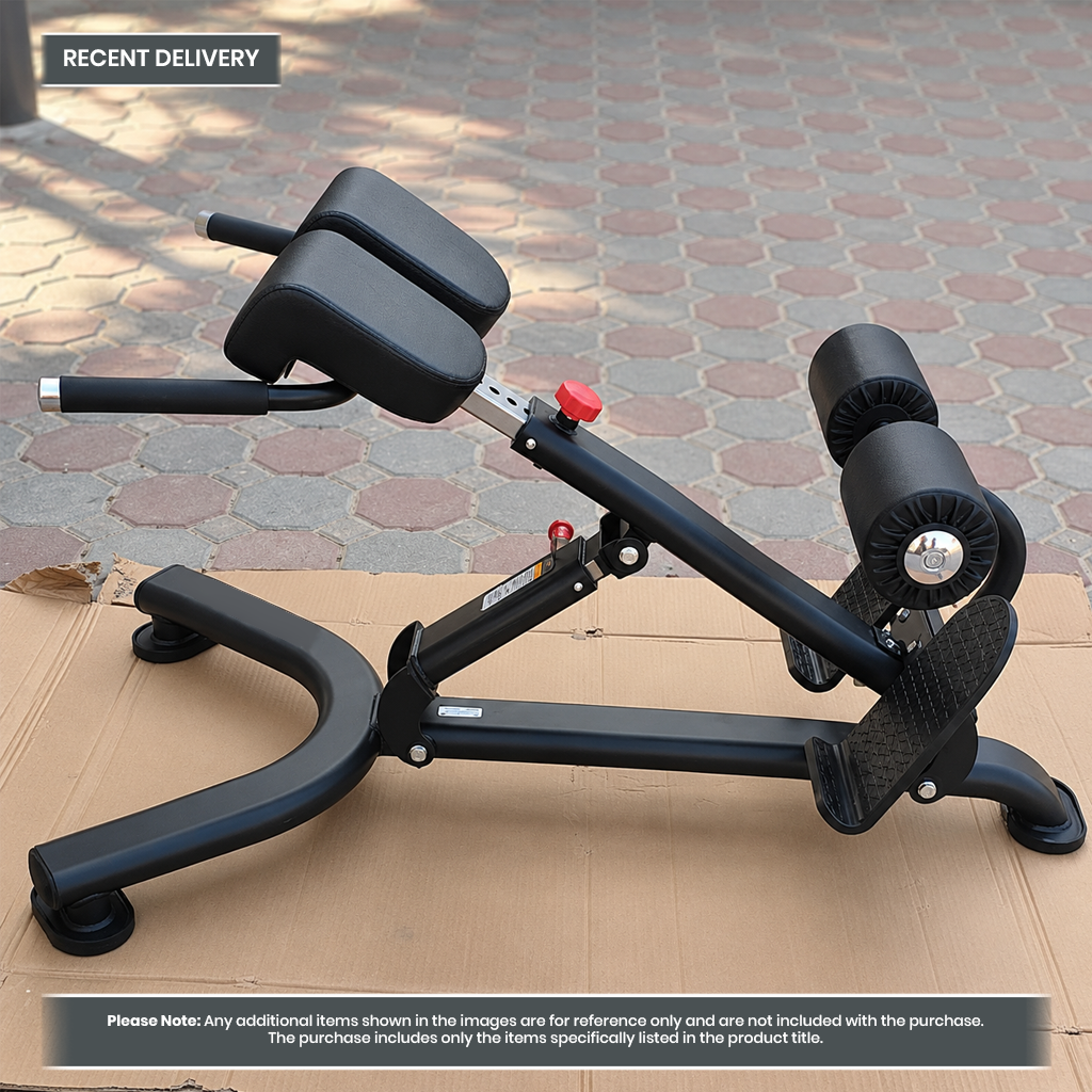 Insight Fitness Back Extension - DR010