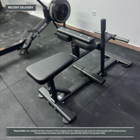 Thumbnail for Insight Fitness Seated Calf Raise - DR011