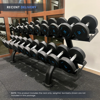 Thumbnail for Insight Fitness 2 Tier Dumbbell Rack - DR012