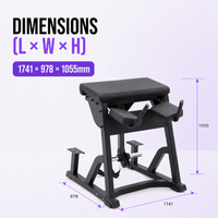 Thumbnail for Insight Fitness Reverse Hyper - PB407