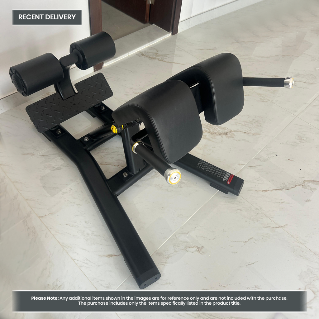 Insight Fitness Back Extension - DR010