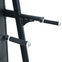 Insight Fitness Assisted Chin/Dip - BE8008 pull-up bar with handles on a white background