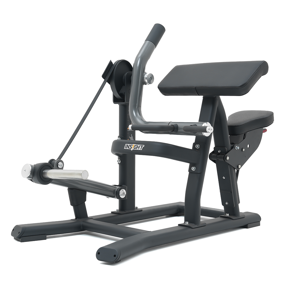 Insight Fitness Biceps Curl - SH018 with 'Insight' branding on a white background