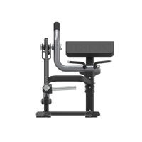 Insight Fitness Biceps Curl - SH018 on a white background