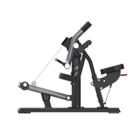 Insight Fitness Biceps Curl - SH018 on a white background