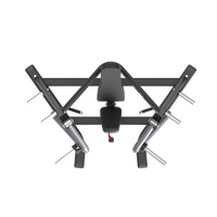 Black and silver Insight Fitness Decline Chest Press - SH012 on a white background