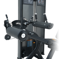 Insight Fitness Leg Curl/Extension - BE8025 with black frame and control panels on a white background