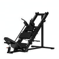 Thumbnail for Insight Fitness Leg Press / Hack Squat - DR003