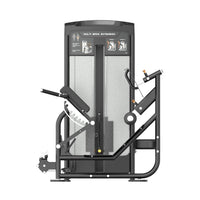 Insight Fitness Multi Back Extension - BE8040 with 'Multi Back Extension' label on a white background