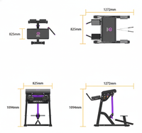 Thumbnail for Insight Fitness Reverse Hyper - PB407