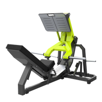 Leg Press - Y950Z