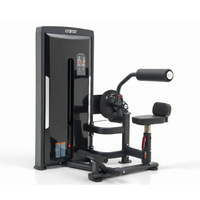 Thumbnail for Insight Fitness SA Series Abdominal Back Extension - SA009D
