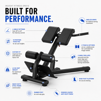 Thumbnail for Insight Fitness Back Extension - DR010