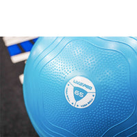 LivePro Anti Burst Core Fit Exercise Ball - LP8201