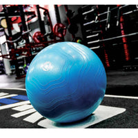 LivePro Anti Burst Core Fit Exercise Ball - LP8201