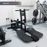 Thumbnail for Insight Fitness Belt Squat - PB312