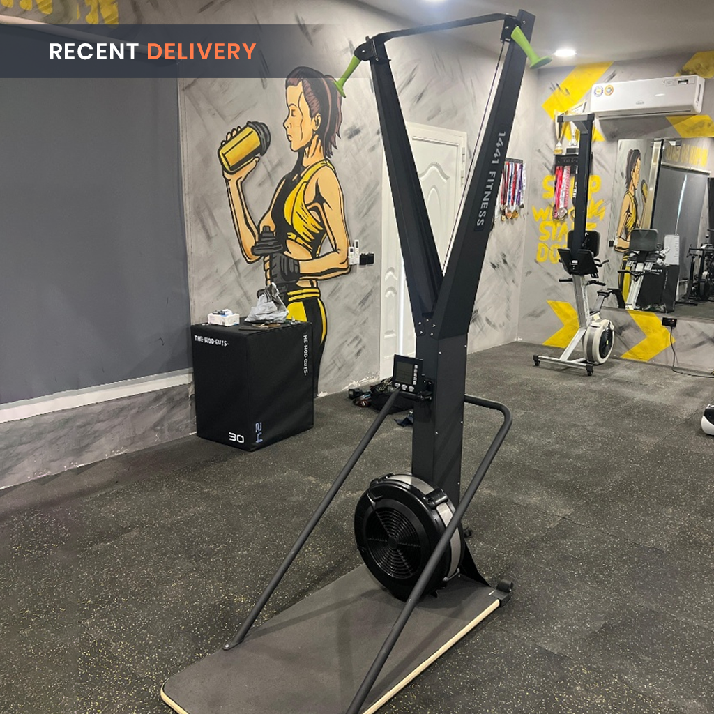 Skierg Machine - 41FLA910