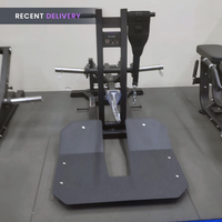 Thumbnail for Insight Fitness Belt Squat - PB312