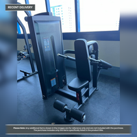 Thumbnail for Insight Fitness SA Series Triceps Press - SA007D
