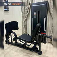 Thumbnail for Insight Fitness Seated Leg Press - SA016