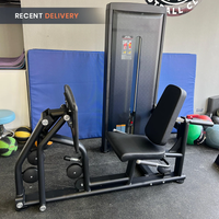 Thumbnail for Insight Fitness Seated Leg Press - SA016