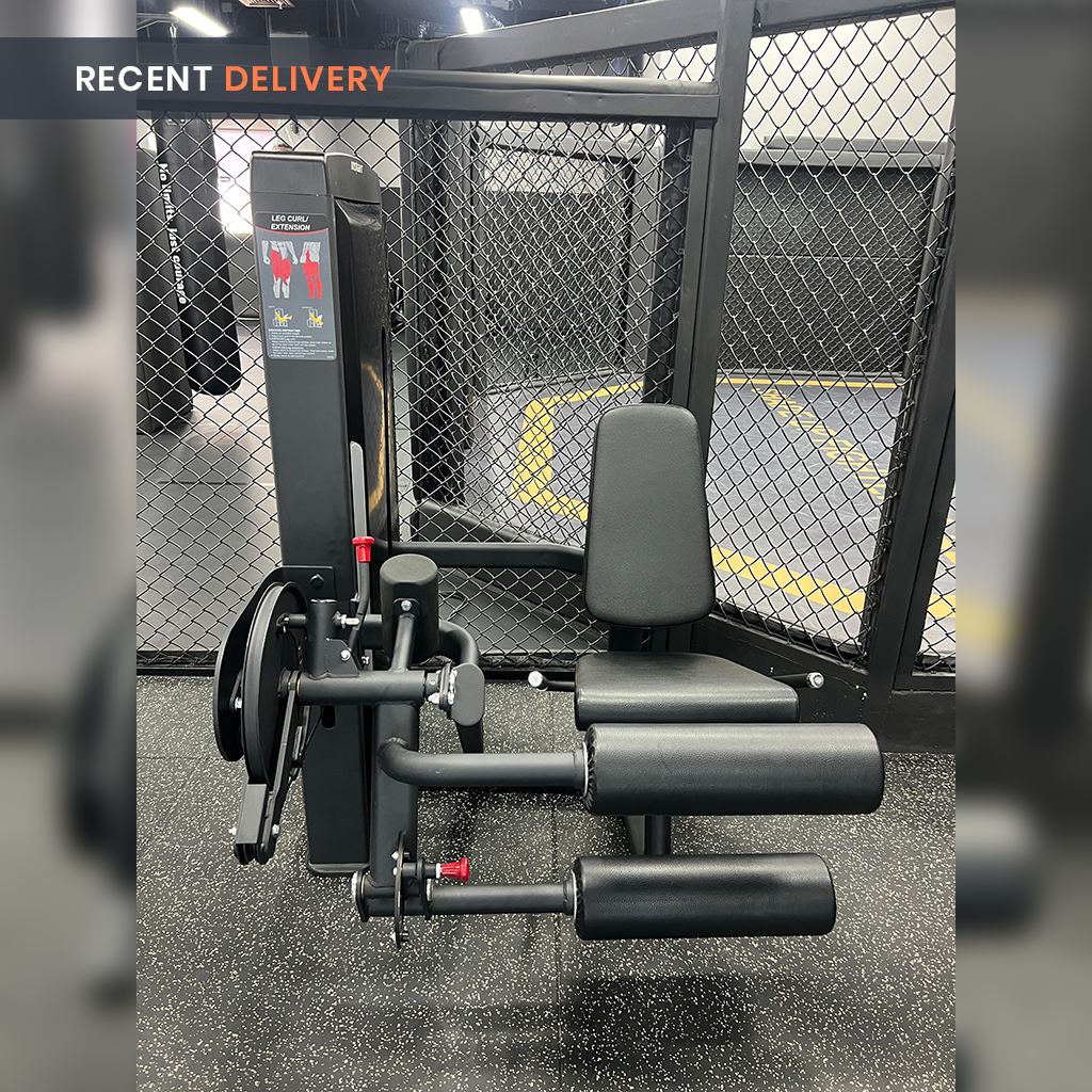 Insight Fitness Leg Curl & Leg Extension - SA025