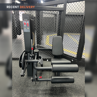 Thumbnail for Insight Fitness Leg Curl & Leg Extension - SA025