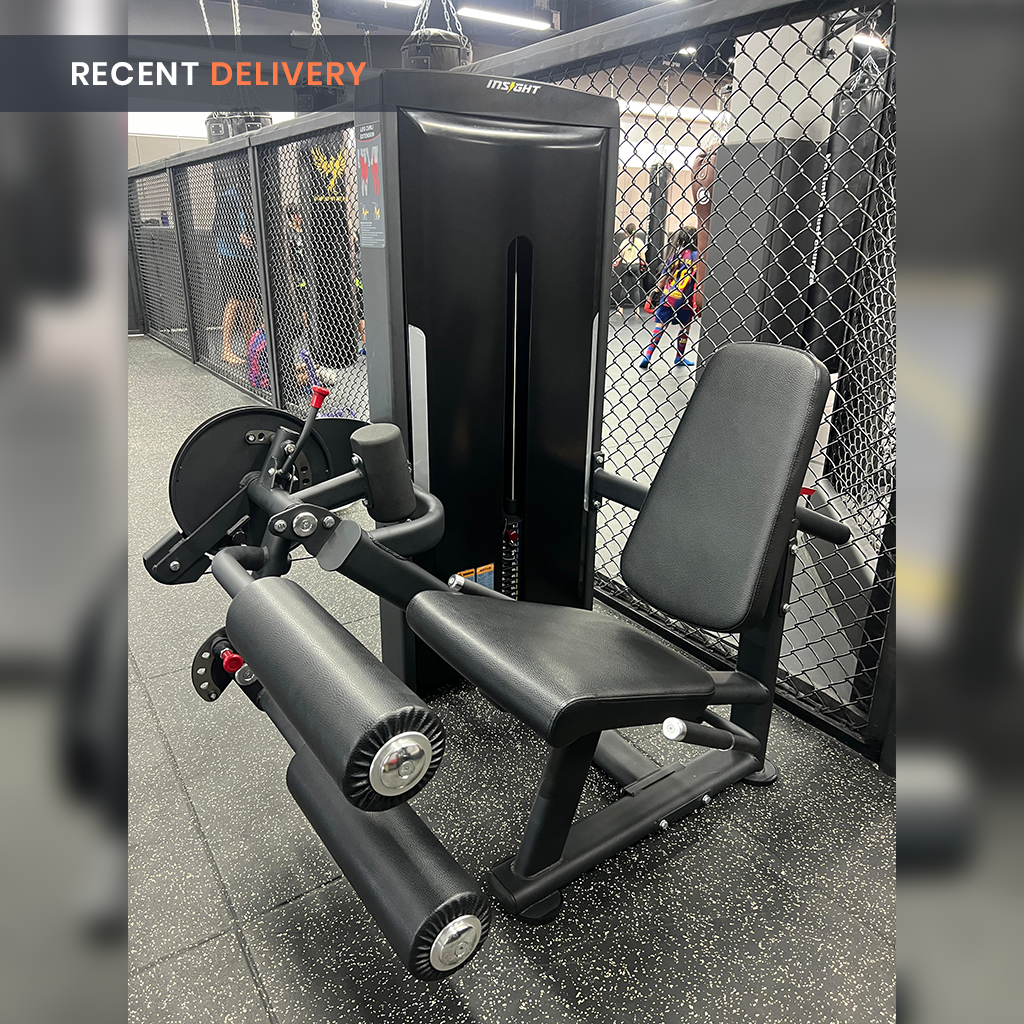 Insight Fitness Leg Curl & Leg Extension - SA025