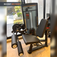 Thumbnail for Insight Fitness Leg Curl & Leg Extension - SA025