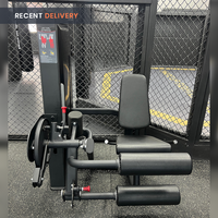 Thumbnail for Insight Fitness Leg Curl & Leg Extension - SA025