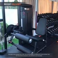 Thumbnail for Insight Fitness Leg Curl & Leg Extension - SA025