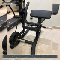 Thumbnail for Insight Fitness Biceps Curl - SH018