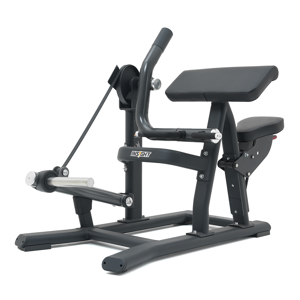 Insight Fitness Biceps Curl - SH018