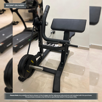 Thumbnail for Insight Fitness Biceps Curl - SH018