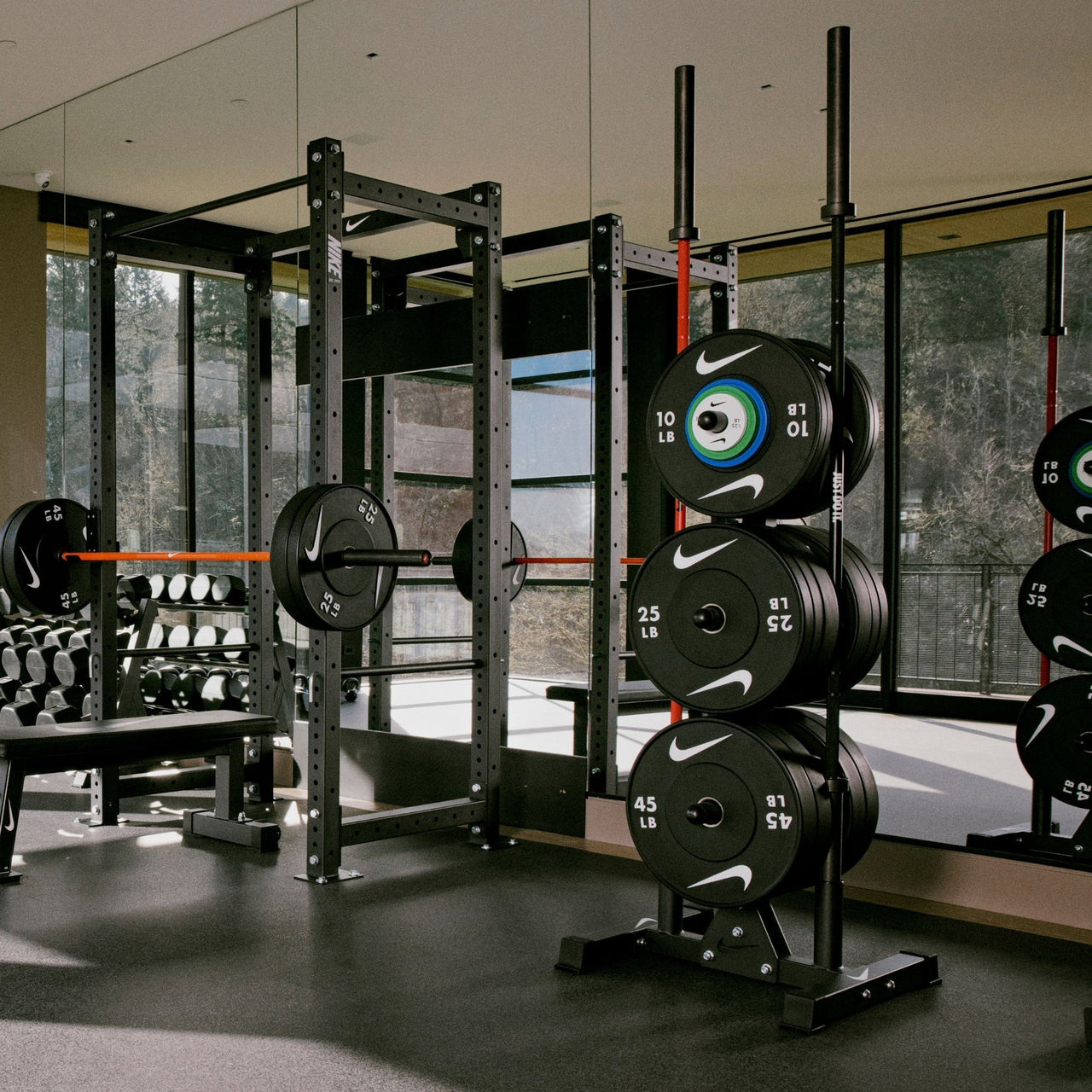 Nike Strength Olympic Plate Tree