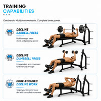 Thumbnail for Insight Fitness Decline Olympic Bench - DR006
