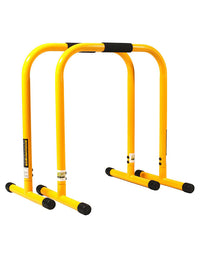 Lebert Fitness Equalizer - (28'' x 21'' x 15'')