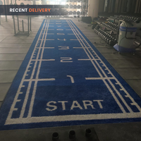 Thumbnail for Sled Track Grass with Marking - 10 x 2 Meters (Blue)