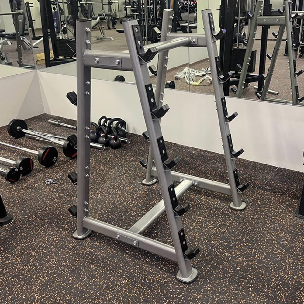 1441 Fitness Barbell Rack for 10 - BR08