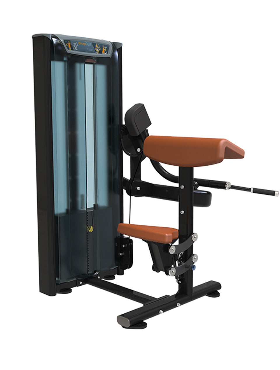 Bicep Curl Machine for Commercial Gym 