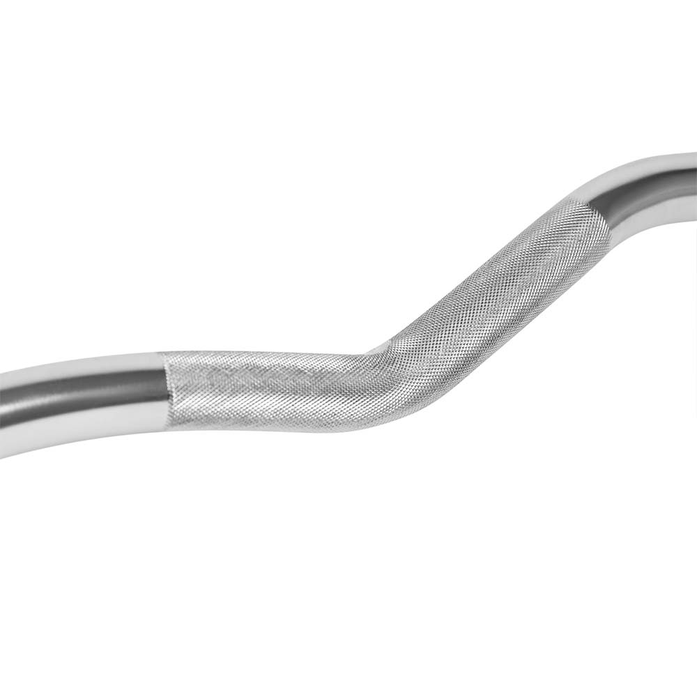 ez bar curl biceps